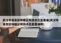 武汉布洛克区块链公司技术总监是谁[武汉布洛克区块链公司技术总监是谁啊]